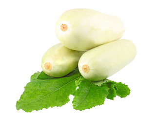 White vegetable marrow on white background.