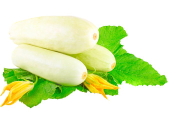 White vegetable marrow on white background.