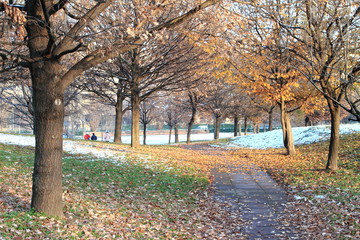Naklejka premium Prima neve sugli alberi d'autunno,parco comunale di Bollate