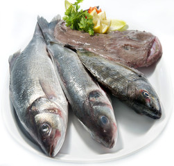 choice of fresh raw fish