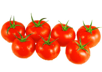 Lush tomatoes . Isolated