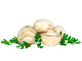 Mushroom champignon with green parsley .Isolated