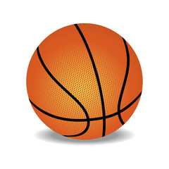 Fototapeta premium Vector basketball