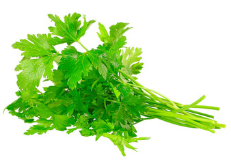 Fresh parsley on white background. Isolated