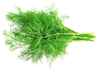 Bunch of dill on white background. Isolated