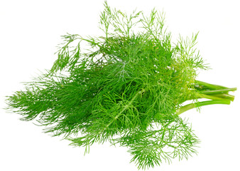 Bunch of dill on white background. Isolated