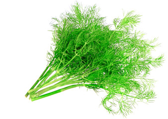 Bunch of dill on white background. Isolated