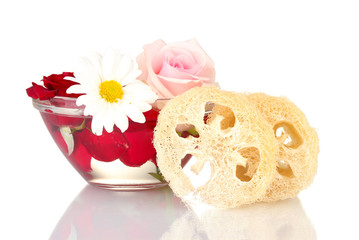 Loofah isolated on white