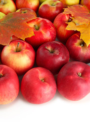 juicy red apples with leaves, isolated on white