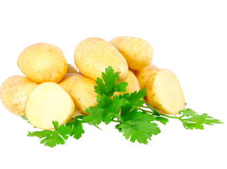 Young potatoes, decorating of parsley . Isolated