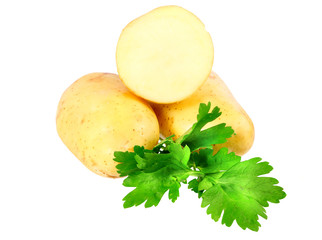 Young potatoes, decorating of parsley . Isolated