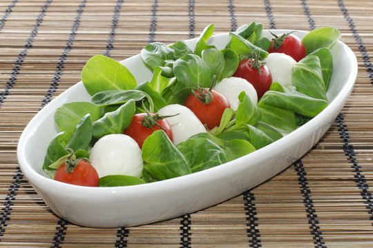 Italian Cheese mozzarella with tomatoes and salad