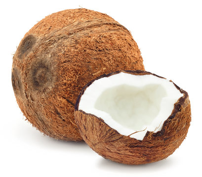 large coconut