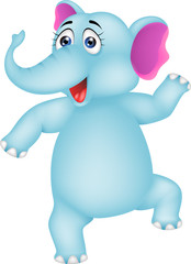 baby elephant dancing