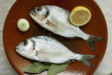 Two gilthead on ceramic plate
