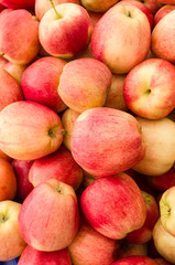Red ripe apples on display