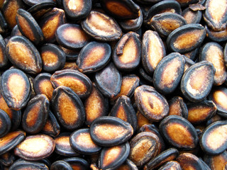 pumpkin seeds