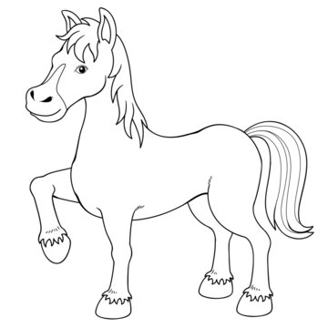 Illustration of a horse.Coloring book