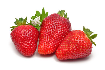 Erdbeeren