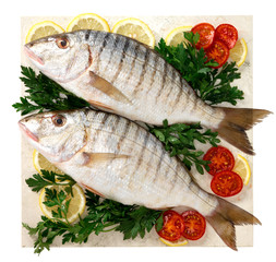 Pesce:mormore - Fish:mormore