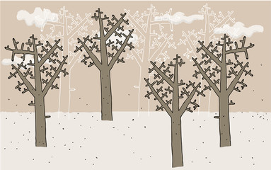 Trees in Winter on background
