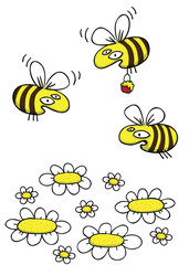 Honey Bees and Daisies