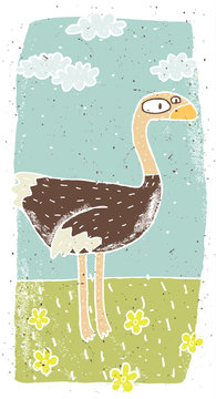Hand drawn grunge illustration of cute ostrich