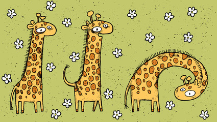 Fototapeta premium Hand drawn grunge illustration of three giraffes
