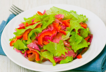 fresh vegetable salad