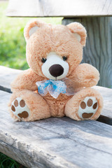 teddy bear on the bench