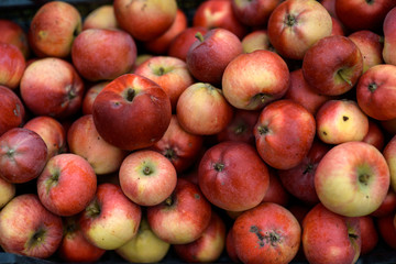 apple's
