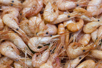 fresh pink shrimps on display