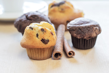 chocolate chip muffin