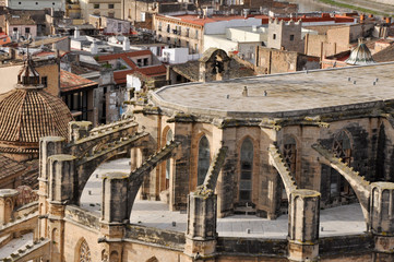 Fototapeta na wymiar Tortosa Cathedral, Tarragona (Hiszpania)
