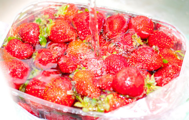 Fresh red raspberries