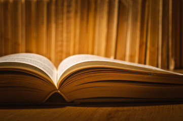 Vintage old books