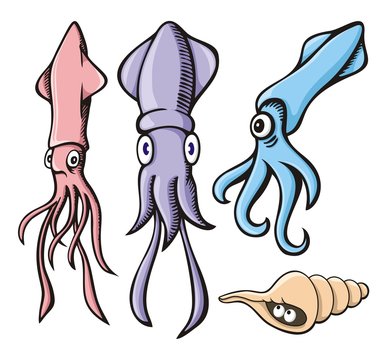 Squid cartoons
