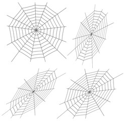 Vector illustration of cobweb
