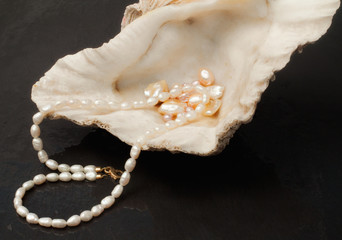 pearl jewels inside  oyster