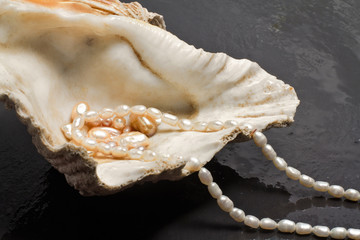pearl jewels inside  oyster