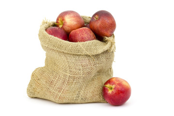Burlap sack with apples