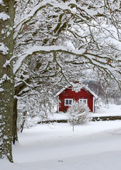 Typical Swedish landscape in snowy winter season