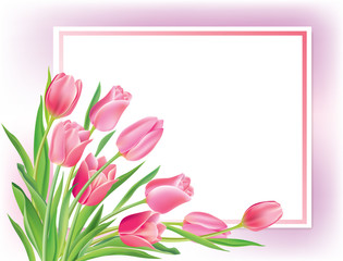 Greeting card with tulips