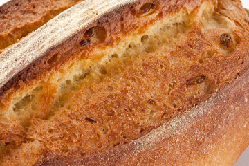 Bread close up showing texture