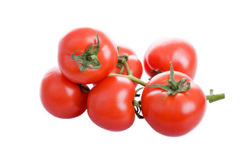 fresh tomatoes