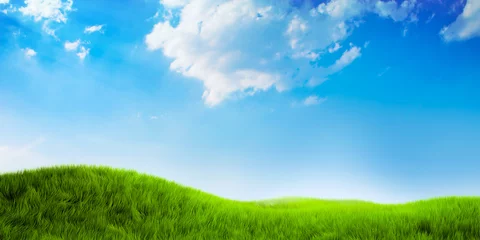 Foto op Canvas Beautiful nature background with green grass and sky © Tijana