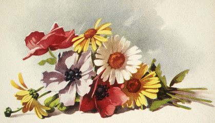 flowers illustration