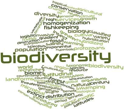 Word cloud for Biodiversity