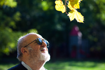 retired old man in park