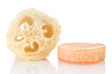 Loofah isolated on white